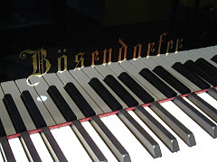 ベーゼンドルファー・グランドピアノ Model.185