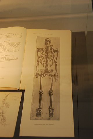 アイゼナハ・バッハ博物館・バッハの骨