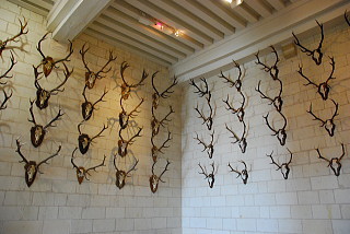ロワールの古城巡り・シャンボール城の内部・狩猟した鹿の角