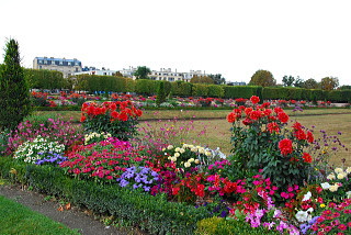 サンジェルマン・アン・レー城の庭園の花