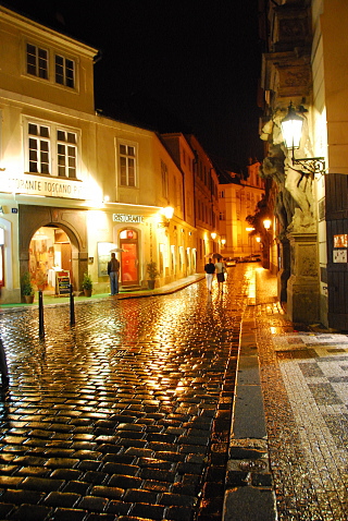 雨に濡れたプラハの街並み